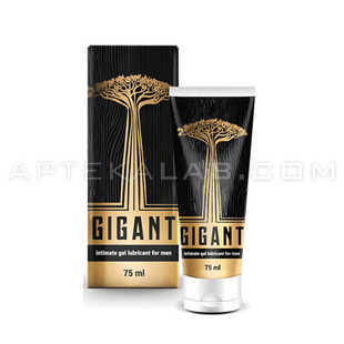 Gigant в Зигене